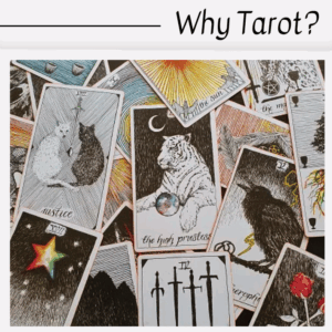A scattered collection of illustrated tarot cards—featuring animals, stars, and swords—lies beneath the heading "Why Tarot?" in the top right corner, inviting curiosity about why tarot has captivated so many.