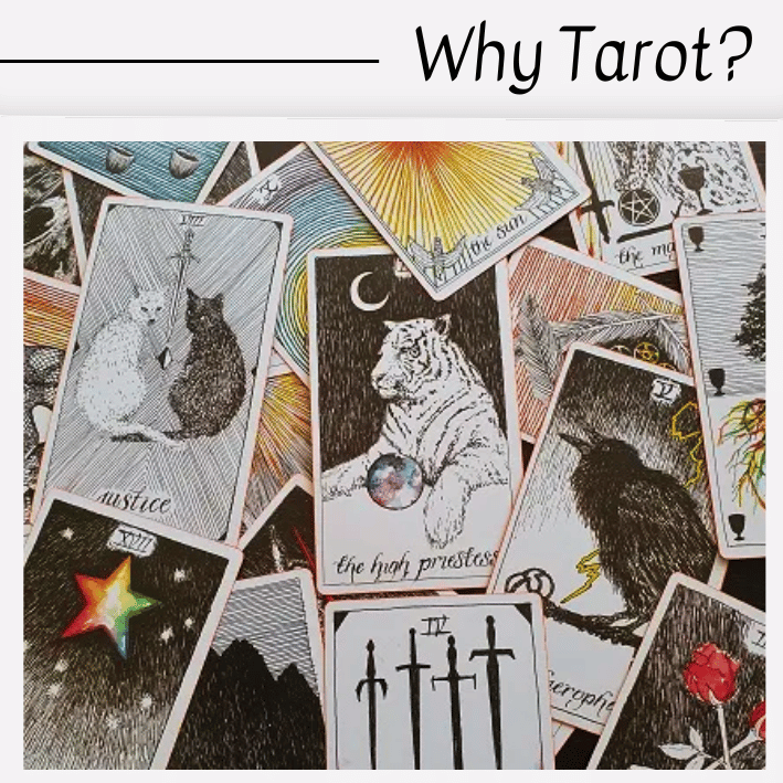A scattered collection of illustrated tarot cards—featuring animals, stars, and swords—lies beneath the heading "Why Tarot?" in the top right corner, inviting curiosity about why tarot has captivated so many.