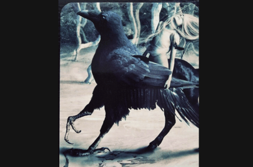 A tarot card from the Magick of You Oracle titled Translucence: Love the darkness shows a woman with long hair riding a large black crow through a mystical, foggy forest. The image has an ethereal, dreamlike quality.