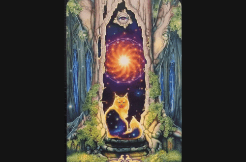A tarot card from the Messenger Oracle shows a fox sitting in a glowing forest portal, surrounded by stars, an all-seeing eye above, and the words Seek Your Destiny below. Deck Review is written at the top of the image.