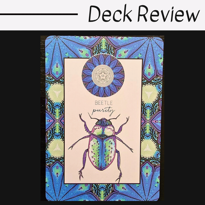 A tarot or Animal Kin Oracle card features a colorful beetle illustration labeled Beetle with the word purity below it. The card has a blue and purple geometric border and a circular mandala design at the top.