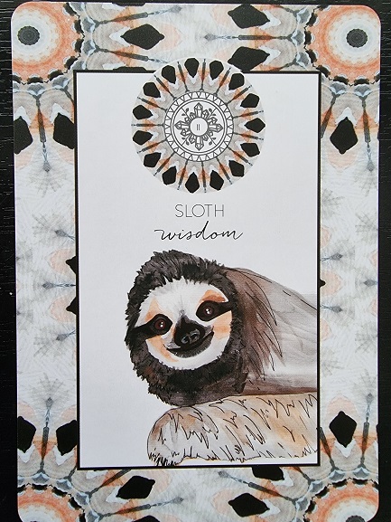 A card from the Animal Kin Oracle features a colorful patterned border and an illustration of a smiling sloth. Above the sloth is a mandala design with feathers. The text reads: “SLOTH wisdom.”.
