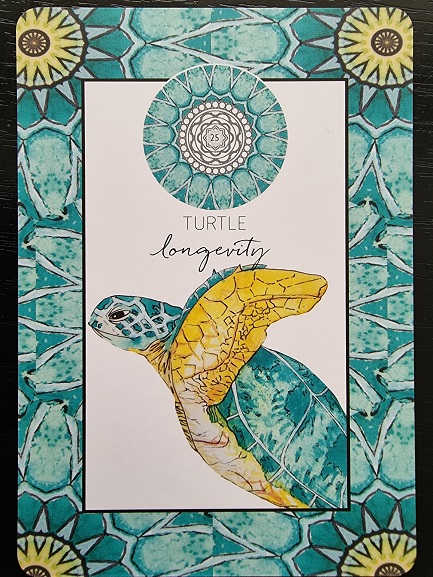 A card from the Animal Kin Oracle featuring an illustrated sea turtle with a yellow and green shell. The words TURTLE and longevity are above, with a teal geometric border, yellow sun shapes, a mandala, and the number 25 at the top.