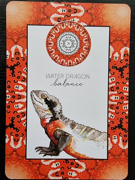 A card from the Animal Kin Oracle featuring a detailed illustration of a lizard with the words Water Dragon balance and a mandala design above it. The border has a symmetrical red and orange pattern.
