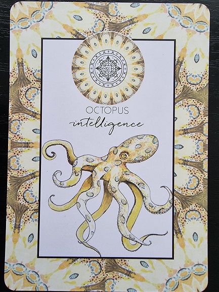 A decorative card from the Animal Kin Oracle features an illustrated octopus with yellow and blue accents. Above it is a mandala and the words Octopus intelligence, set against a repeating yellow and brown patterned background.