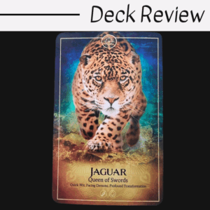 A tarot card from the Ark Animal Tarot features a jaguar labeled Queen of Swords with text: Quick Wit, Facing Demons, Profound Transformation. Above, bold text reads Deck Review on a white background.