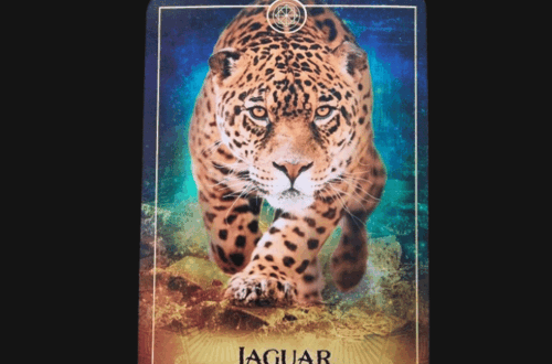 A tarot card from the Ark Animal Tarot features a jaguar labeled Queen of Swords with text: Quick Wit, Facing Demons, Profound Transformation. Above, bold text reads Deck Review on a white background.