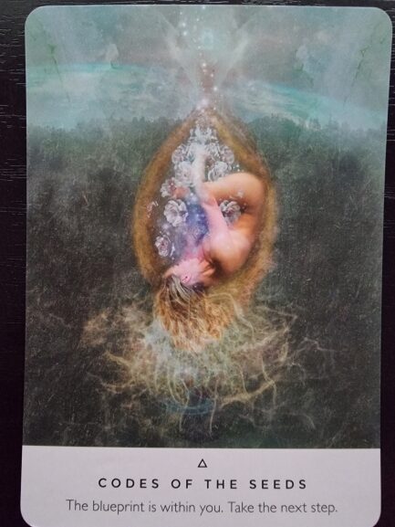 A mystical card from The Rose Oracle shows a serene woman with a crown of antlers, hands raised, surrounded by red roses and flowing water. Animals and misty trees appear in the background. Text reads: The Holy Grail. Stop the endless searching. Inner quest.