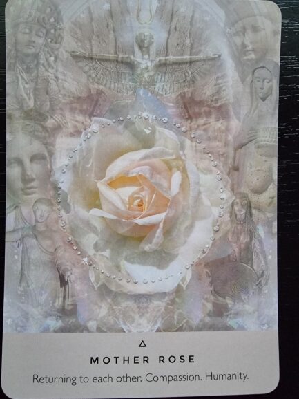 A tarot card from The Rose Oracle features a delicate white and yellow rose at its center, surrounded by ethereal images of women and spiritual figures. Text at the bottom reads, MOTHER ROSE: Returning to each other. Compassion. Humanity.