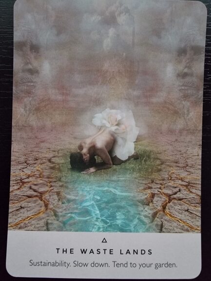A person kneels by a small pool on cracked ground, a large white flower—the rose Oracle—on their back. The hazy background shows faint faces. Text below reads: THE WASTE LANDS. Sustainability. Slow down. Tend to your garden.