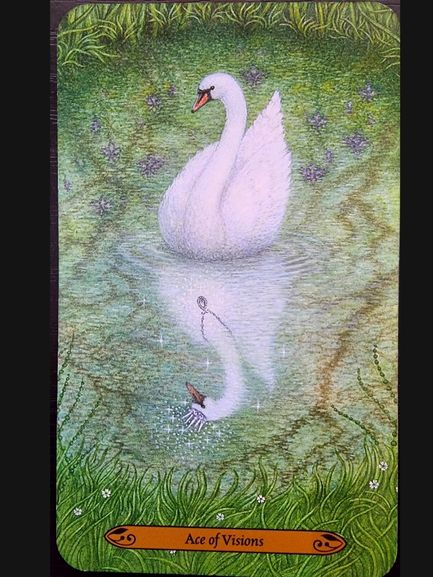 A white swan floats on a pond, its reflection showing a hand holding a cup with water pouring out. Purple flowers and writing surround the pond. At the bottom, a banner reads Ace of Visions.