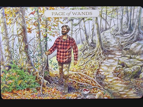 A man in a red plaid shirt walks through a sunlit forest, smiling as he looks upward. He holds a staff, surrounded by trees, rocks, and autumn leaves—a scene inspired by the warmth of the Pastoral Tarot. The card is labeled Page of Wands.