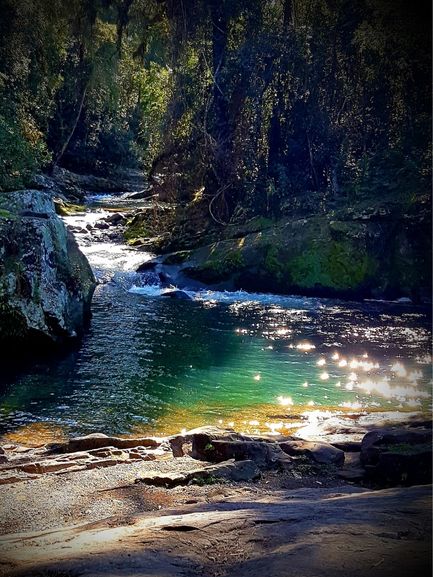 A clear river flows over rocks through a lush, green forest, showcasing the beauty of nature. Sunlight sparkles on the water’s surface, creating bright reflections. Moss-covered stones and trees surround the tranquil, shaded scene.