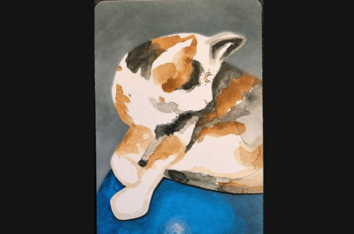 A tarot card labeled The High Priestess from the White Sage Tarot features an illustration of a calico cat, lounging with its head turned to the side, on a soft blue surface. The text Deck Review appears above the card.