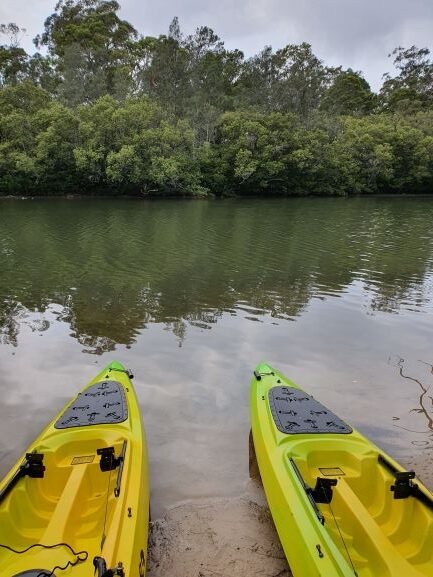 Two yellow and green kayaks rest on the shore of a calm river, surrounded by nature, with green trees reflected in the water and a forested area in the background under a cloudy sky.