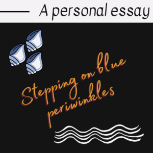 A graphic with the title A personal essay. It features three illustrated blue periwinkle shells inspired by nature, orange cursive text reading Stepping on blue periwinkles, and three wavy white lines on a black background.