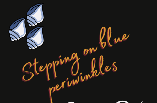 A graphic with the title A personal essay. It features three illustrated blue periwinkle shells inspired by nature, orange cursive text reading Stepping on blue periwinkles, and three wavy white lines on a black background.