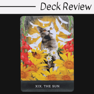 A tarot card from Grimalkin's Curious Cats Tarot titled “XIX. The Sun” features a gray and white cat surrounded by large yellow flowers, red gladiolus, a butterfly, and white birds flying with radiant yellow light in the background.