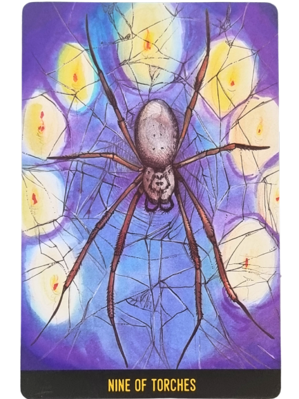 A woman sits confidently on a golden throne with a flaming back and two lions beside her, on a path surrounded by tall grass; the card reads Throne of Torches at the bottom—a striking scene from The Penumbra Tarot.