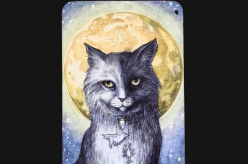 A tarot card from the Soul Cats Tarot titled XVIII - The Moon shows a black and white cat with yellow eyes, sitting before a glowing full moon, wearing a necklace with fish and leaf charms. The text Deck Review appears above.