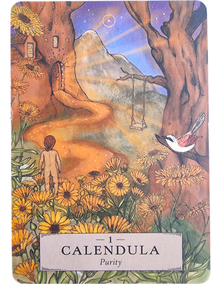 A barefoot child stands in a field of calendula flowers, gazing at a magical treehouse with lighted windows. A bird perches nearby, and a swing hangs from a tree under a dreamy sky. The Herbal Astrology Oracle card reads: Calendula - Purity.