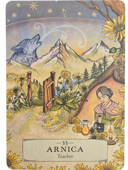 An illustrated card from The Herbal Astrology Oracle titled 33 ARNICA Teacher shows mountains, sunflowers, a howling wolf, an old woman mixing herbs by candlelight, and a rustic path with a wooden gate under a starlit sky.