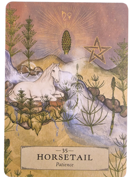 An illustrated card from The Herbal Astrology Oracle shows a white horse lying on grass among horsetail plants, with a glowing horsetail, a pentagram, and astrological symbols in the sky. The card reads: 35 HORSETAIL Patience.