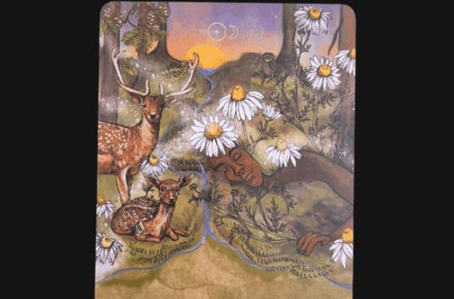 A tarot card from The Herbal Astrology Oracle featuring chamomile flowers, a deer, and a fawn in a peaceful nature scene with the label 9 Chamomile - Inner Peace beneath the illustration. The words Deck Review appear above the card.