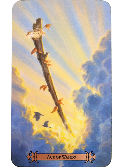A tarot card from the Modern Spellcaster's Tarot, labeled Ace of Wands, shows a wooden wand with sprouting leaves emerging from bright yellow clouds, illuminated by rays of sunlight. Two birds fly below against a blue sky with fluffy clouds.