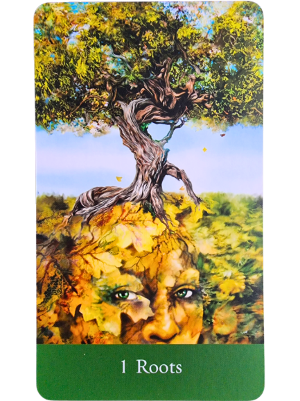 A tarot card from The Sacred She Tarot labeled 1 Roots shows a large tree with twisted branches. The roots form a face in the earth below, blending with the leaves and landscape, suggesting a deep connection to nature.