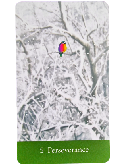 A small, colorful bird perches on snow-covered branches. The wintry, white background enhances the serene scene from The Sacred She Tarot. A green band at the bottom reads “5 Perseverance.”.