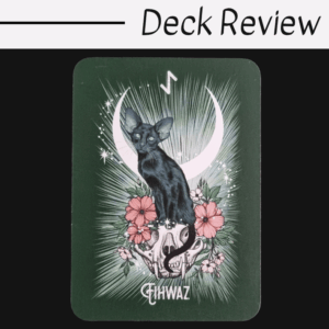 A tarot card from The Witch's Familiar Runic Oracle features a black cat perched on a deer skull, surrounded by pink flowers, rays of light, a crescent moon, and rune above. Eihwaz is at the bottom. Top text: Deck Review.