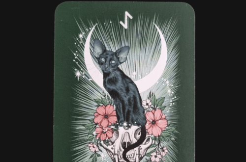 A tarot card from The Witch's Familiar Runic Oracle features a black cat perched on a deer skull, surrounded by pink flowers, rays of light, a crescent moon, and rune above. Eihwaz is at the bottom. Top text: Deck Review.