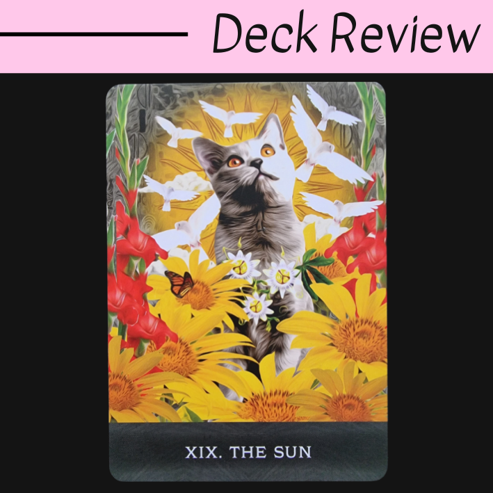 Grimalkin's Curious Cats Tarot - MJS Tarot