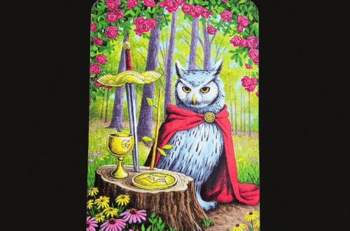 A tarot card from the Tarot of the Owls deck, The Magician shows an owl in a red cape among vibrant forest flowers, with a chalice, pentacle, wand, and sword on a tree stump. Deck Review appears in the background.