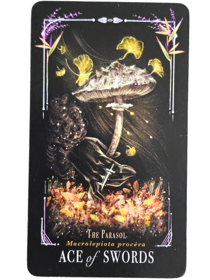 A tarot card titled Ace of Swords shows a gloved hand holding a large parasol mushroom above a sword, with flowers and leaves surrounding it. The border features purple and yellow botanical designs, evoking the aura of Midnight Magic.