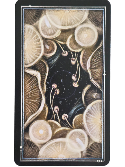 A tarot card featuring artistic, swirling mushrooms with beige caps and white stems surrounding a dark, starry center. The black border with thin white lines and minimal geometric accents evokes a sense of Midnight Magic.