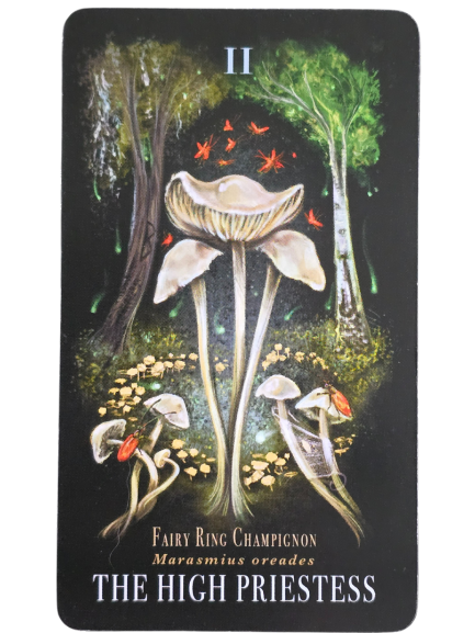 A tarot card titled THE HIGH PRIESTESS shows tall, white mushrooms (Fairy Ring Champignon) in a forest with trees, smaller mushrooms, and red butterflies. The scene glows with midnight magic. The card is labeled with the number II.