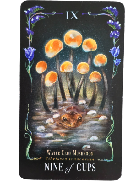 A book cover titled Midnight Magic features a crescent moon encircled by colorful mushrooms and sparkles. The subtitle, Midnight Magic: A Tarot Deck of Mushrooms by Sara Richard, appears on a dark background.