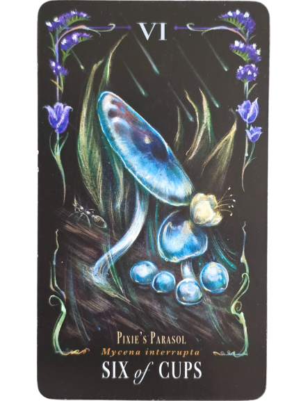 A tarot card labeled Six of Cups features a cluster of blue mushrooms called Pixies Parasol (Mycena interrupta) among green grass, with purple flowers and decorative scrollwork along the borders, evoking a sense of Midnight Magic.