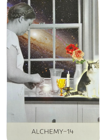 A woman stands at a kitchen counter beside a cat, with a galaxy visible through the window. On the counter are a candle, red and yellow roses from The Rosebud Tarot, and a golden goblet. The word ALCHEMY-14 appears at the bottom.