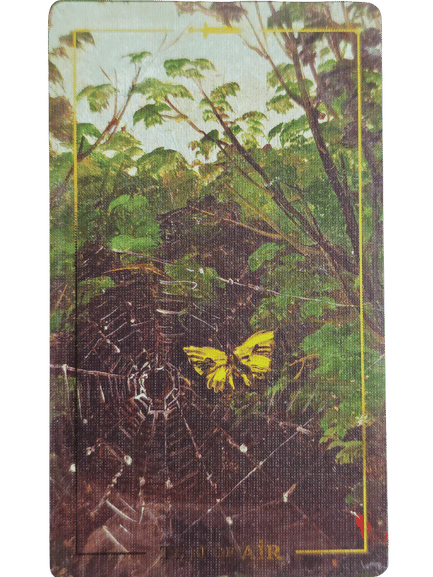 A yellow butterfly hovers near a spider web in a dense green forest. Sunlight filters through the leaves, giving this Folkloric Forest Tarot card a natural, mystical feel. The textured surface and gold border frame the word AIR at the bottom.