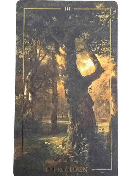 A tarot card from the Folkloric Forest Tarot titled The Maiden shows a sunlit forest with a large, old tree in the center. Sunlight filters through branches, creating a warm, mystical glow. The number III sits at the top of the card.