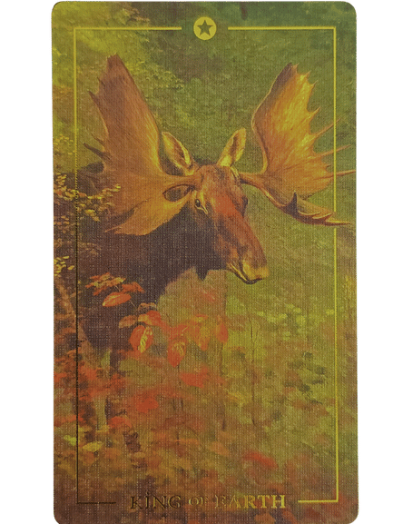 A tarot card illustration from the Folkloric Forest Tarot shows a moose with large antlers standing among green foliage and plants. The card features a golden border, a star symbol at the top, and the text King of Earth at the bottom.