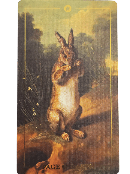 A tarot card from the Folkloric Forest Tarot shows a realistic painting of a brown rabbit standing upright near a burrow, surrounded by grass and flowers. The word PAGE appears at the bottom of the card.