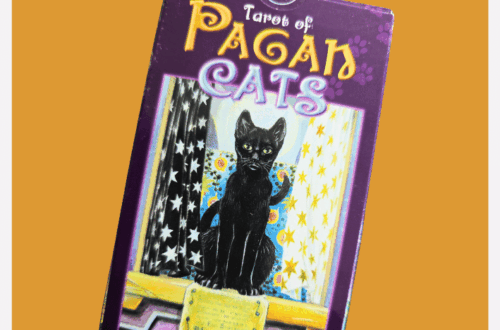 A tilted Tarot of Pagan Cats box, featuring an illustrated black cat sitting between starry curtains. The orange background makes the artwork pop. Text above reads, Tarot of Pagan Cats Deck Review.