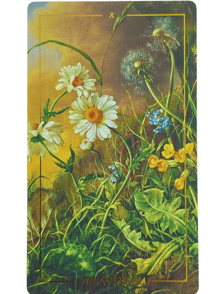 A detailed illustration inspired by the Folkloric Forest Tarot shows wildflowers—daisies, dandelions, and forget-me-nots—thriving in lush green grass with a warm golden background and a thin yellow border around the image.